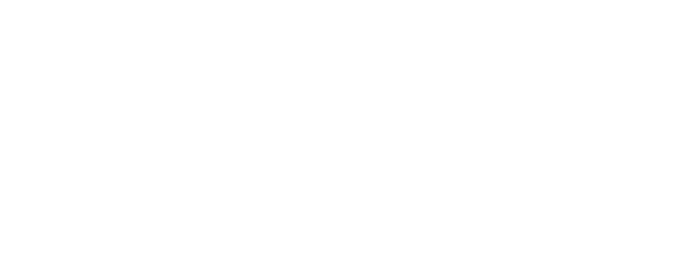 Inter Relocation logo—Central and Eastern Europe relocation services